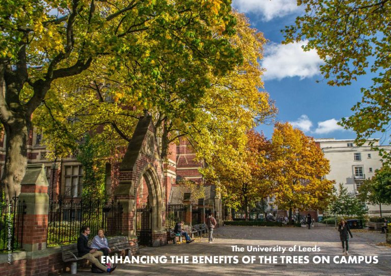 i-Tree-Report-2019-v1.4_1-768x543